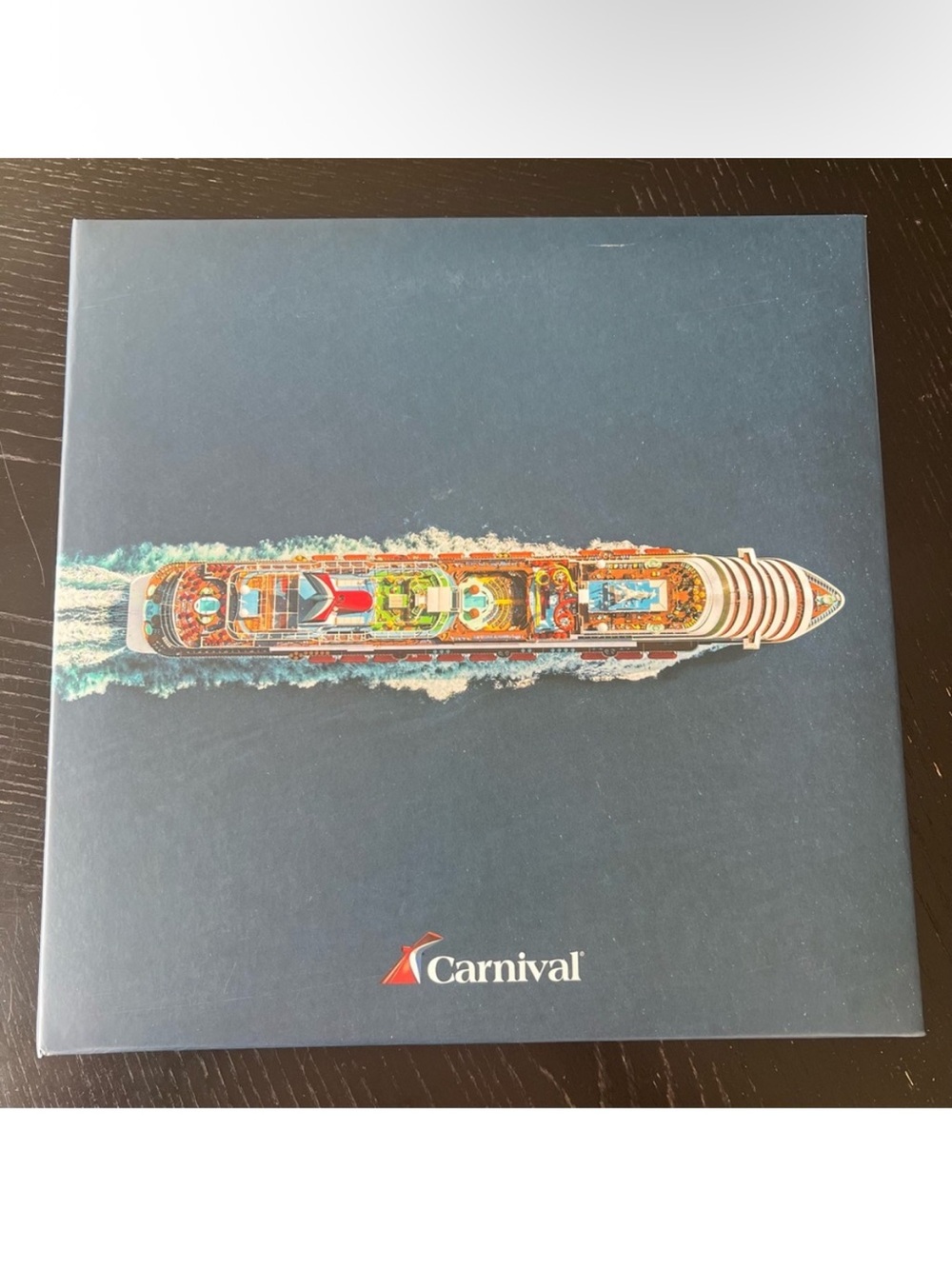 ✅ Carnival Cruise Ship Photo Holder Display 8x10